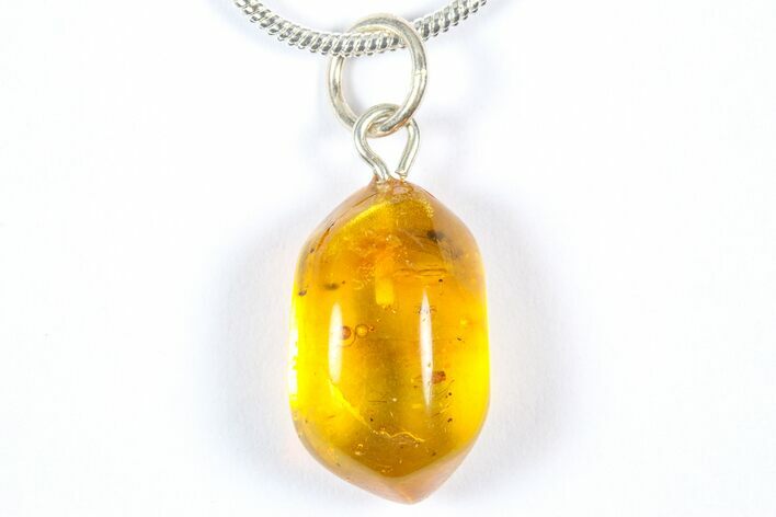 Polished Baltic Amber Pendant (Necklace) - Contains Mite! #369000